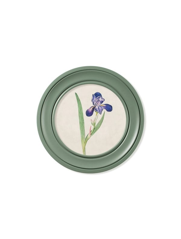 Exceptional Art c.1780 Flowering Plants Round Frame Green