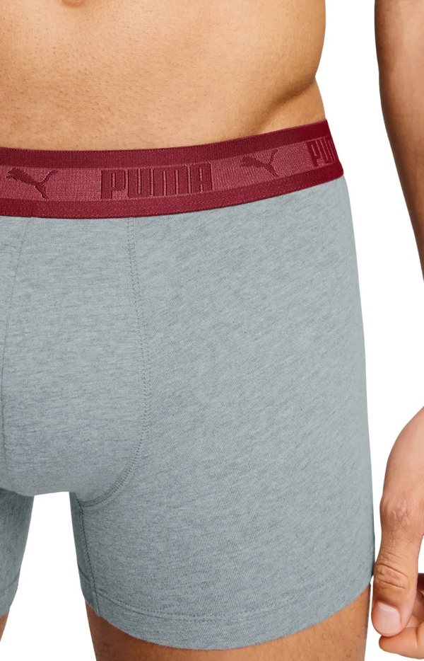 Puma 2-Pack Chromatic Waistband Boxer Briefs, Grey/Black/burgundy