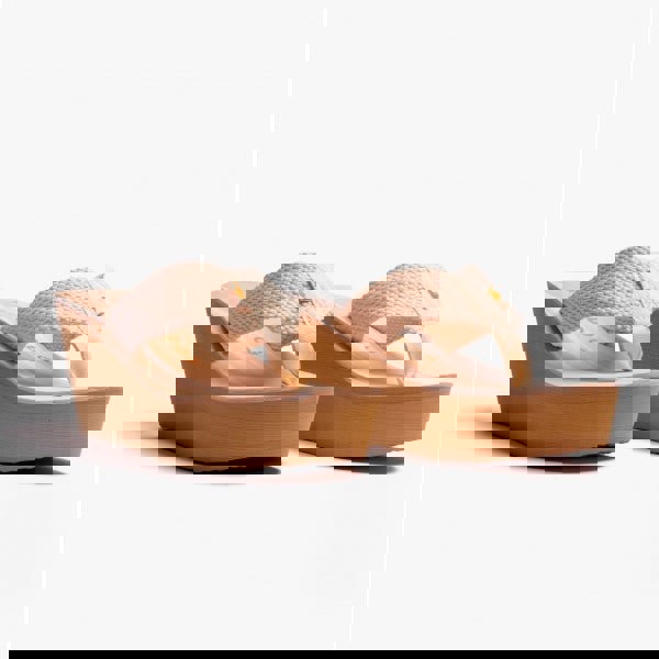 1678108767-83607700.jpg