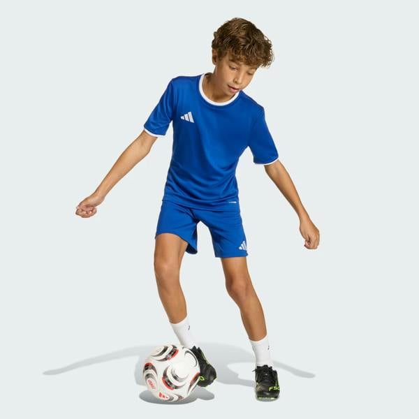 Adidas Junior Entrada 26 Shorts Blue JZ6524