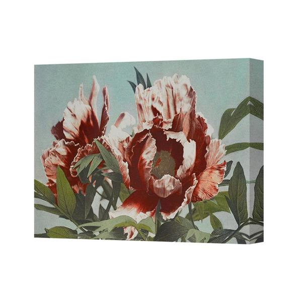 Benjamin Tate Design Floral Canvas Wall Art Peony Bouquet Botanical Painting