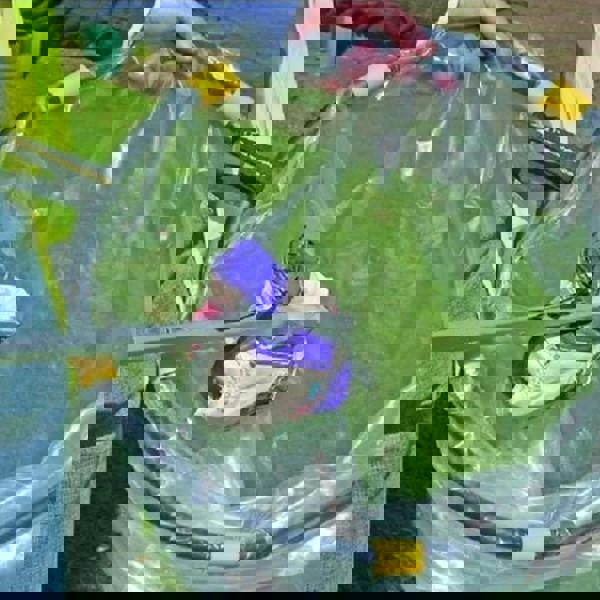 Gr8 Home Black Handy Hoop Ring Sack Bin Refuse Garbage Bag Holder Plastic With Handle New