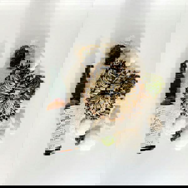 Evolve Beauty Age Defying Hydrating Mist 100 ml