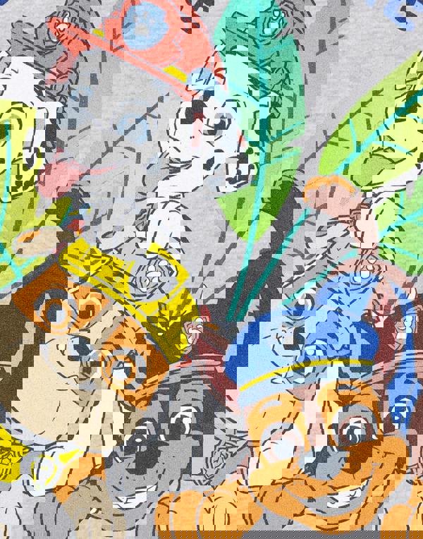 Paw Patrol Boys Grey Advernture Squad Hoodie