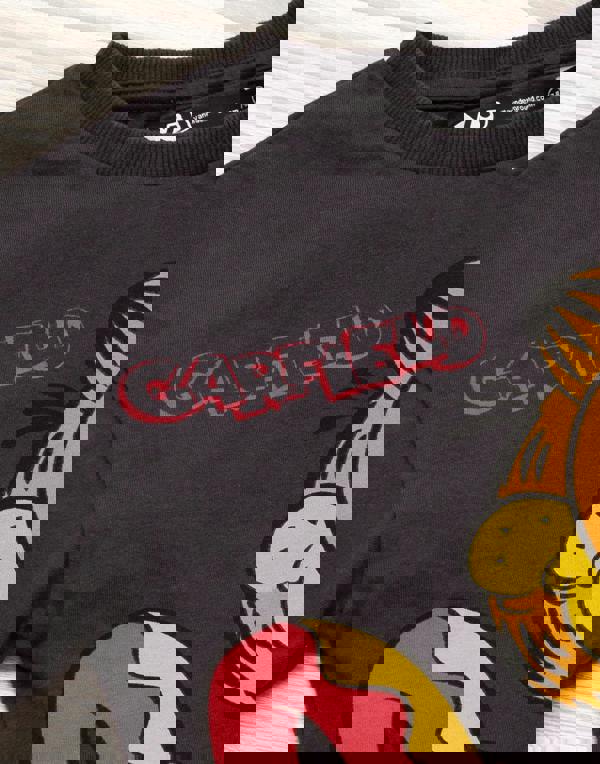 Garfield Girls Grey Character Cropped Short Sleeved T-Shirt