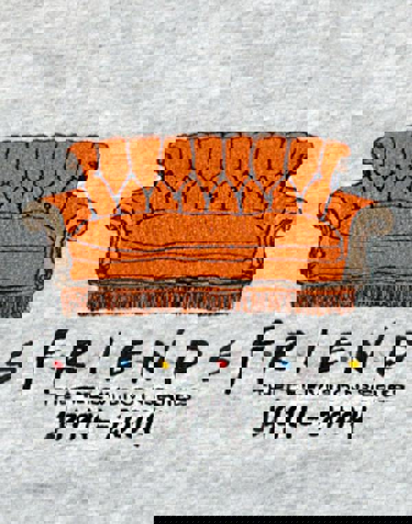 Friends Womens Grey Central Perk Couch Cropped Short Sleeved T-Shirt