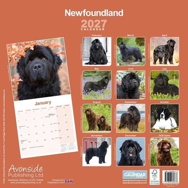 Newfoundland Calendar 2027, Wall Calendars, Month To View, Dogs, Gift