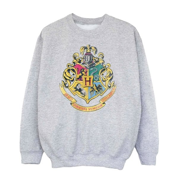 Harry Potter Boys Hogwarts Crest Sweatshirt - Sports Grey