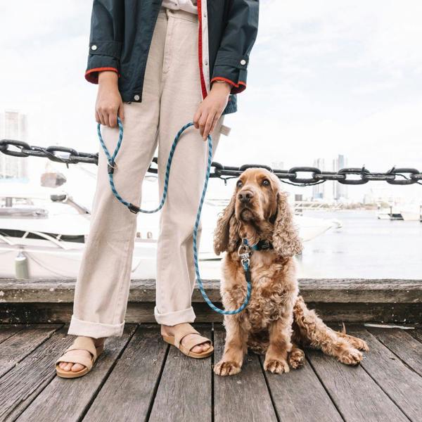 EzyDog Marine Dog Lead in Black