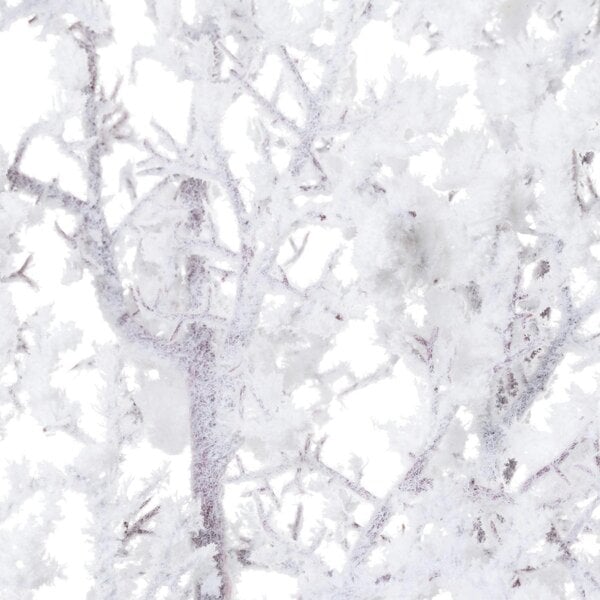 Wyld Haus Set of 3 Snowy Branches