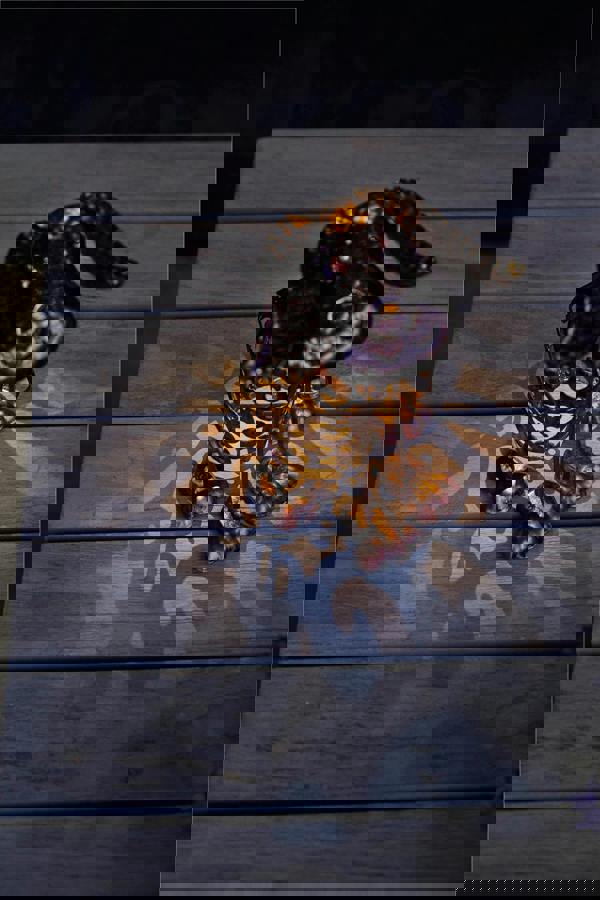 Luxform Solar Metal Dog Led Light