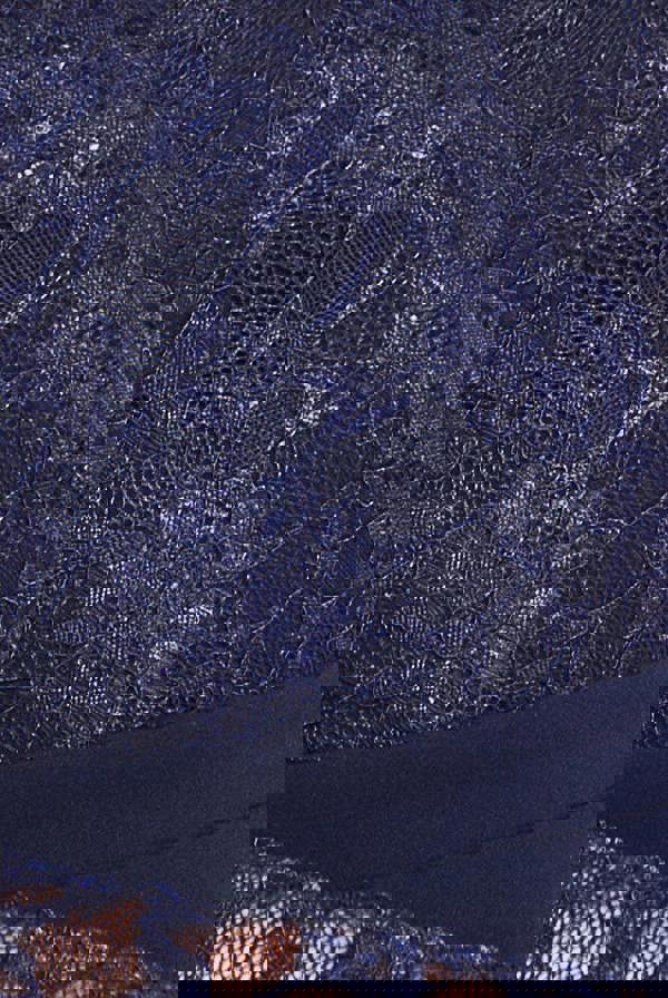 Off The Shoulder Lace Skater Mini Dress - Navy Blue DR2563C