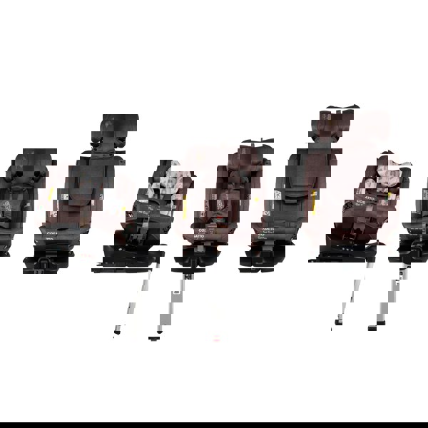 Cosatto Get Set Gro Plus i-Size 360 Car Seat Bear Hug