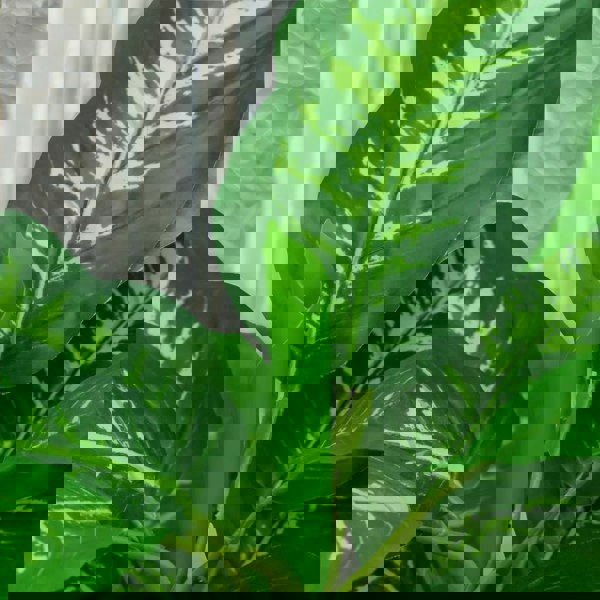 Rafaelo Mobilia Artificial 95CM/3FT Tall Decorative Evergeen Plant Green