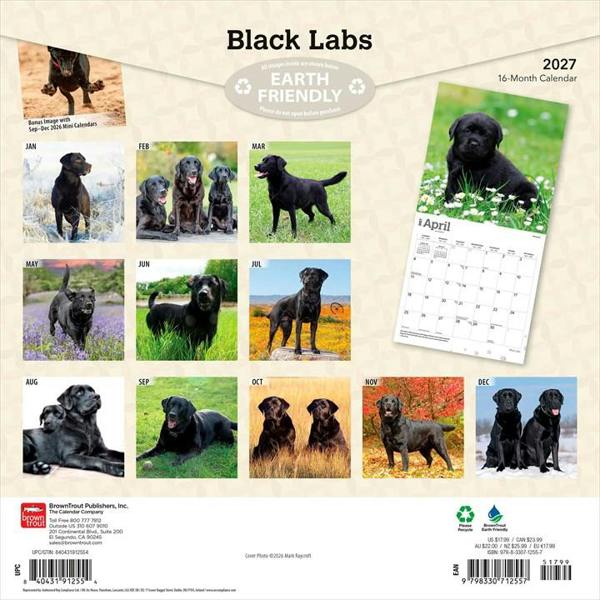 Black Labs Calendar 2027, Wall Calendars, Month To View, Dogs, Gift
