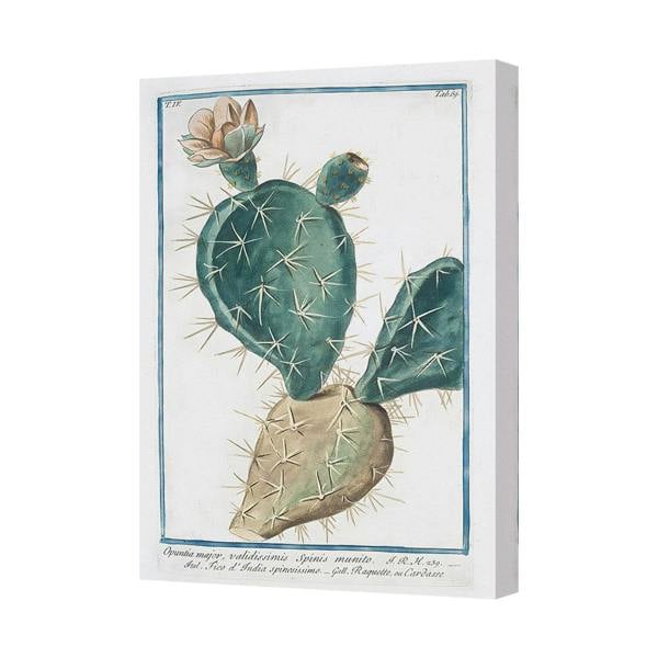 Benjamin Tate Design Opuntia Cactus Botanical Canvas Wall Art Print Poster