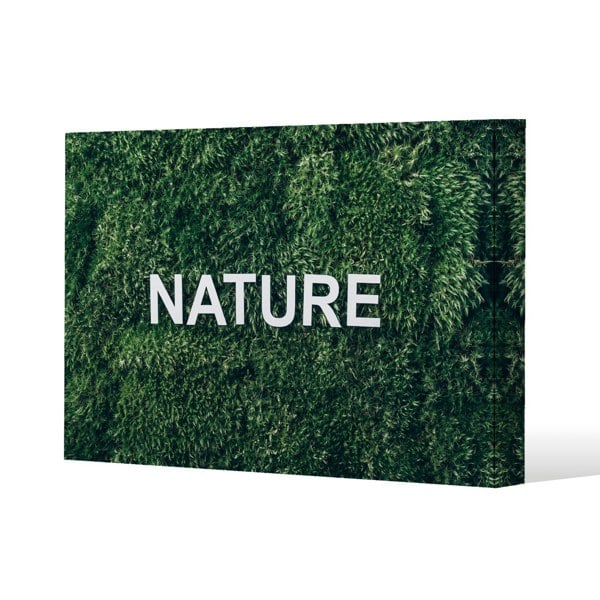 Benjamin Tate Design Wellness Nature (Canvas Print)