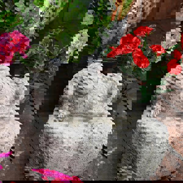 Cheeky Dragon On Rock Ornament