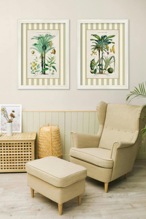 Exceptional Art c.1877 Plants Used as Food and Clothing with Striped Mount - Cream Hurstwood Frame