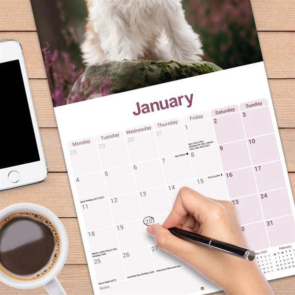 Tibetan Terrier Calendar 2027, Wall Calendars, Month To View, Dogs, Gift