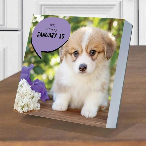 Dog A Day Desk Calendar 2027, Desk Calendars, Day To View, Dogs, Gift
