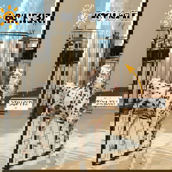 D06-256V02BK