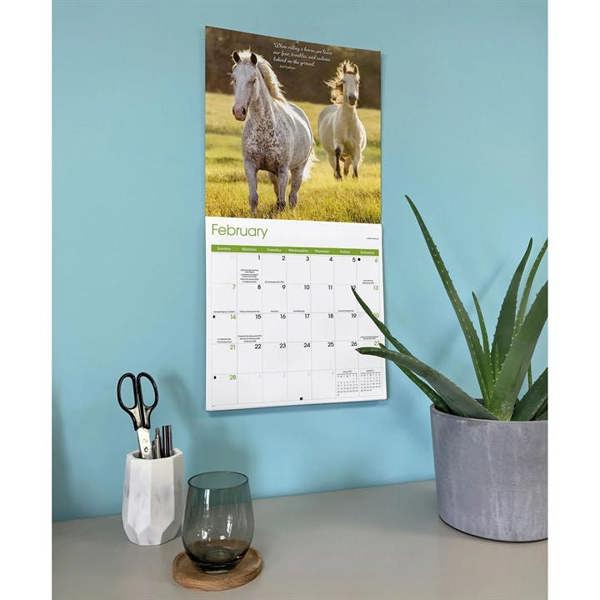 Horse Lovers Calendar 2027, Wall Calendars, Month To View, Animals, Gift