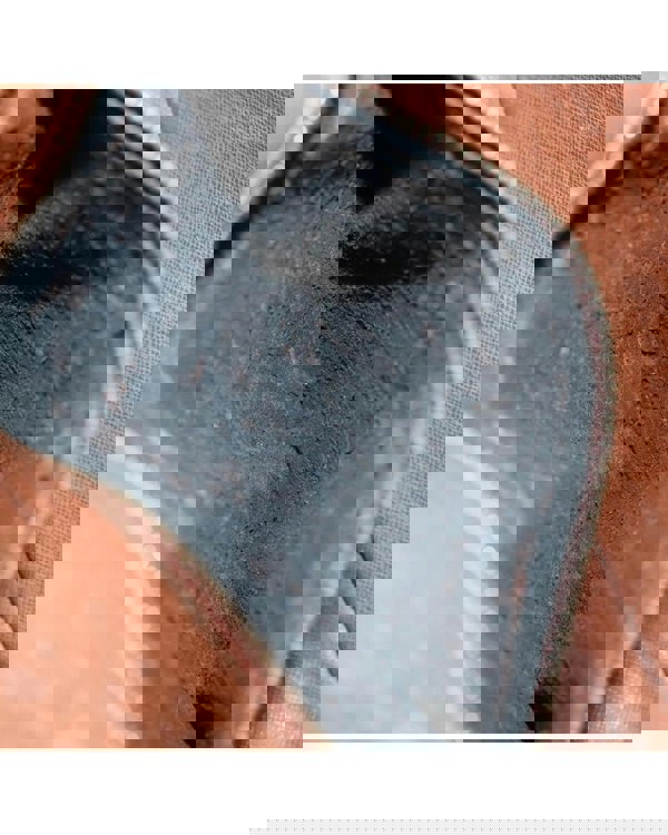 193989702.jpg