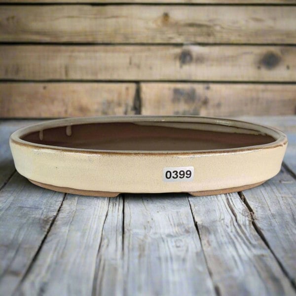 21cm Glazed Bonsai Pot | Oval | 21cm x 16cm x 3cm | Cream - Yorkshire Bonsai