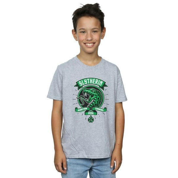 Harry Potter Boys Slytherin Toon Crest T-Shirt - Sports Grey