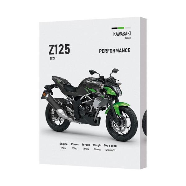 Benjamin Tate Design Kawasaki Z125 Performance Canvas Wall Art Print 2024 Motorcycle