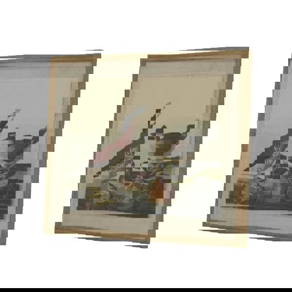 Hill Interiors Flora & Fauna Collection Ducks Beaded Linen Framed Wall Art - Brown/White/Black - 