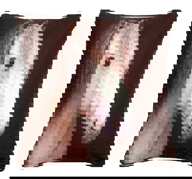 Velosso Adorable Bold Print Animal Cushion - 43cm x 43cm