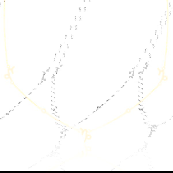 Say It With Capricorn Necklace with CZ Stones - Rose Gold Plated