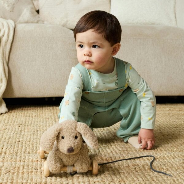 Mini Cuddles Farm Animal-Print Dungarees (Sage Green)