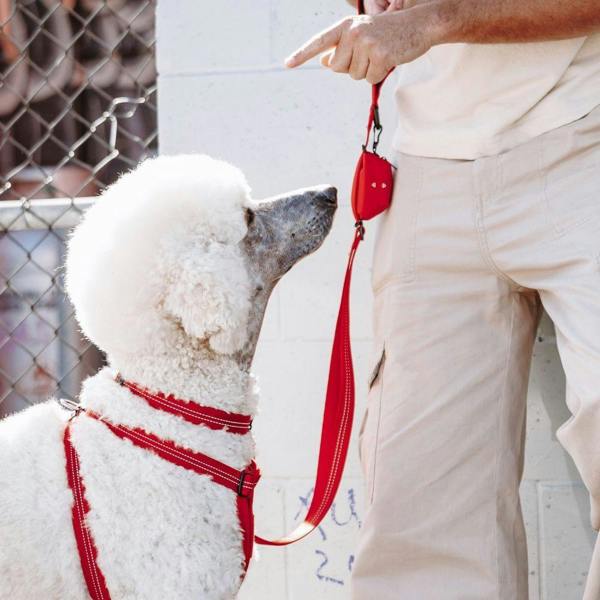 EzyDog Essential Poop Bag Holder in Red