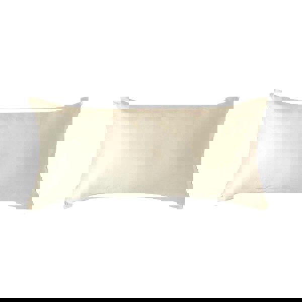 HOMESCAPES Organic 400 TC Egyptian Cotton Sateen Pillowcase, European Size