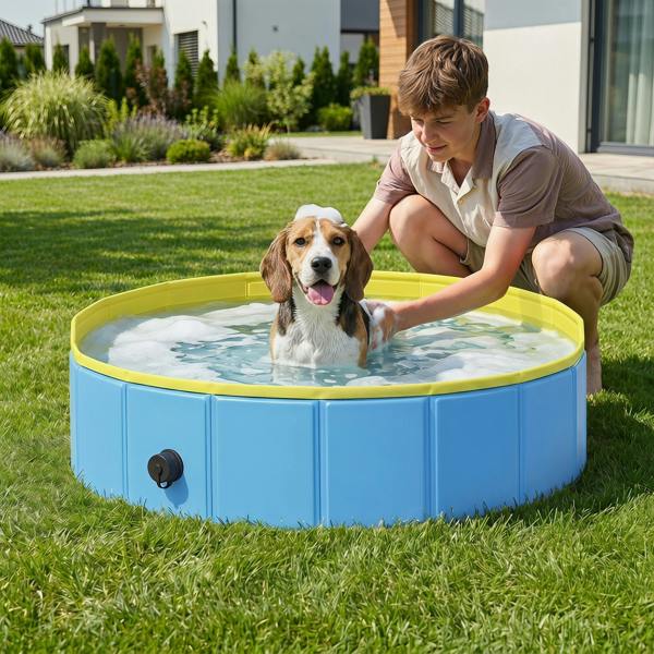 Pet Swimming Pool