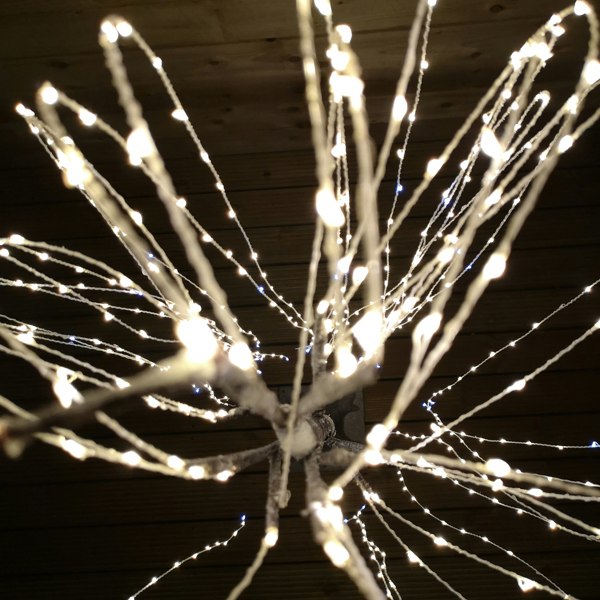 Samuel Alexander 180cm Brown Flocked Willow Tree 600 LED Warm White Garden Christmas Decoration