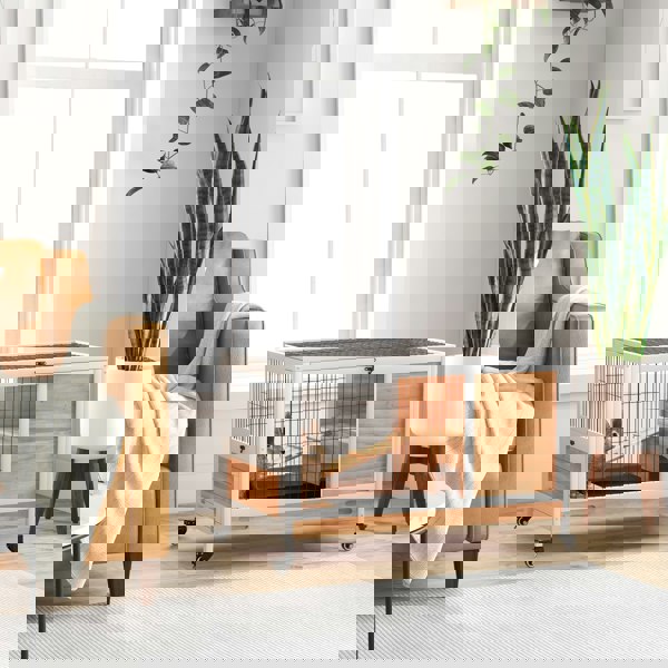 D51-126V00YL