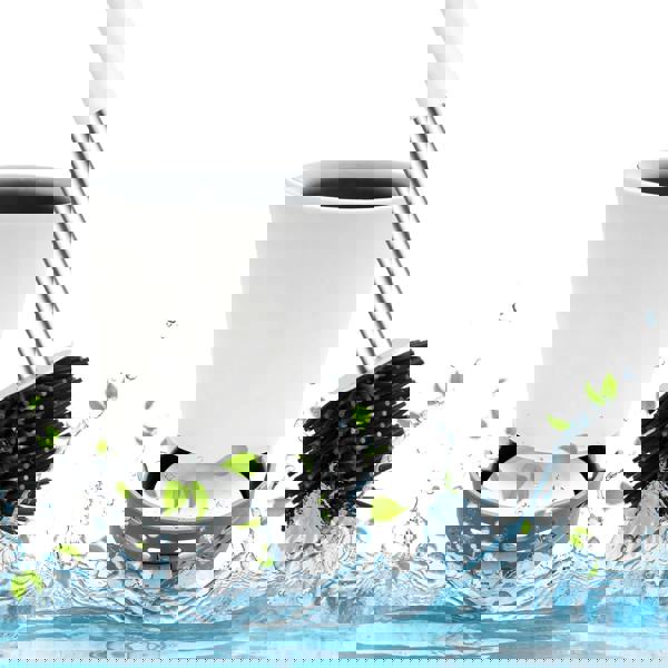 Nicoman Round White Toilet Brush & Holder With Silicone Head and Dry Pad