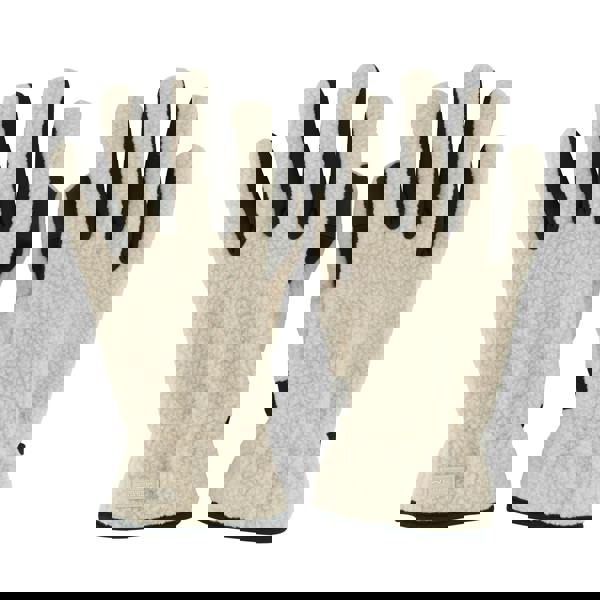 Regatta Unisex Adult Tech Touch Screen Borg Logo Winter Gloves - Perfectly Pale - 