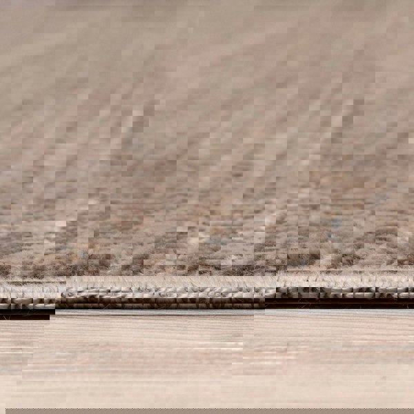 Beige Rug Exclusive Elegant Pattern