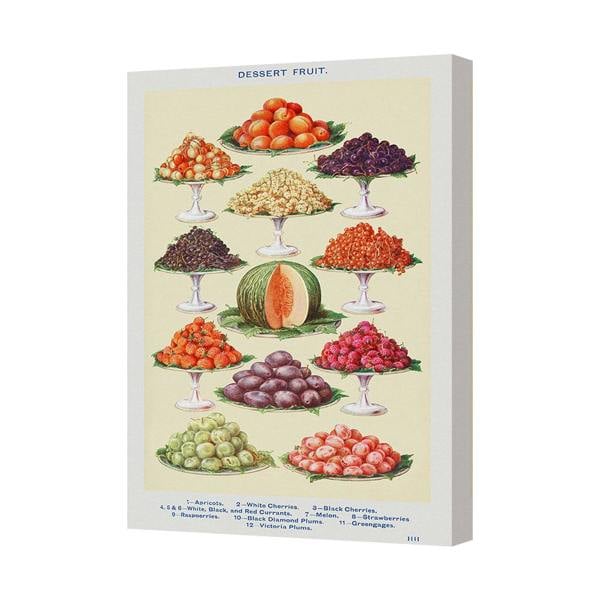 Benjamin Tate Design Contemporary Fruit Still Life Canvas Art Print on Deep Wood Frame