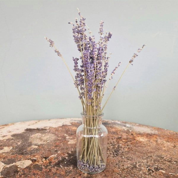 dried lavender bouquet
