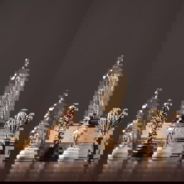 Decoration: A Set Of Four Cactus-Weilai Concept-Weilai Concept