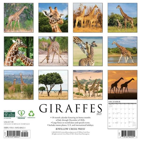 Giraffes Calendar 2027, Wall Calendars, Month To View, Animals, Gift