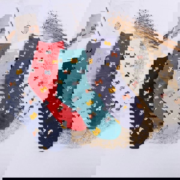 Anyfootwear 5 Pairs Sky Blue Cat Size 5-9 Fashion Socks High Quality Office Sports Bussiness Long Socks Cotton Solid Colors Skateboard Knitted Casual