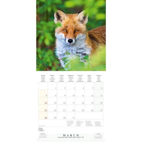 Dwellers Of The Woodlands Calendar 2027, Wall Calendars, Month To View, Animals, Gift