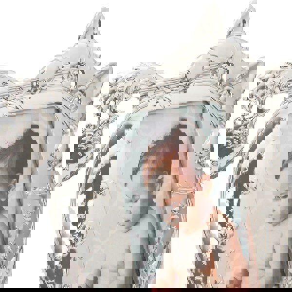 Quirky Hiding Cat Themed Nickel Plated Picture Frame with Hanging Fish Image 5